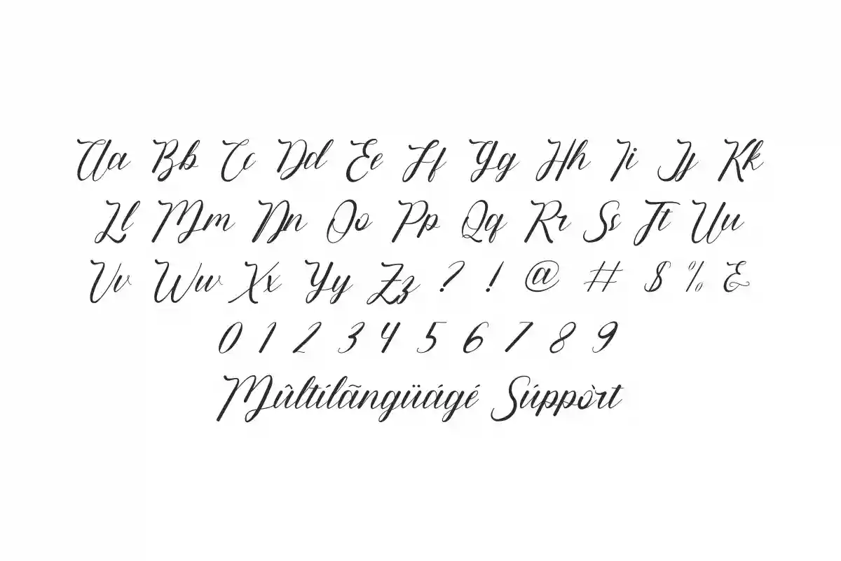 Quickstep Calligraphy Font - Image 3