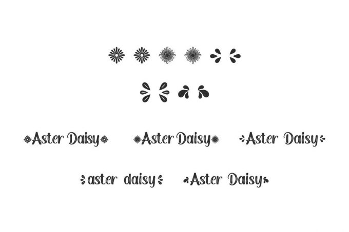 Aster Daisy Fancy Font - Image 6