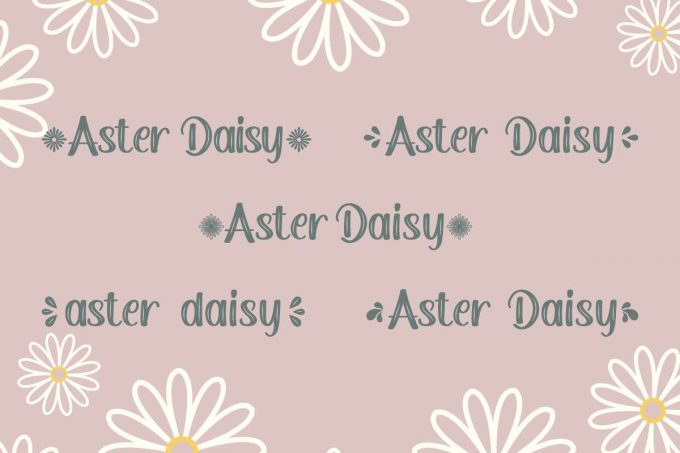 Aster Daisy Fancy Font - Image 9