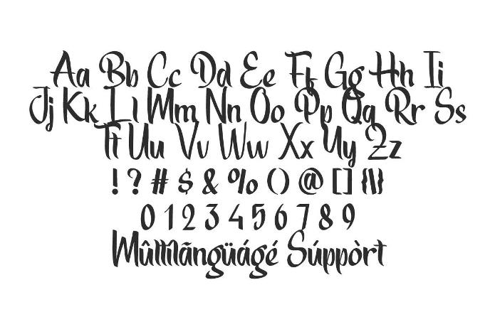 Expect Nothing Calligraphy Font - Image 3