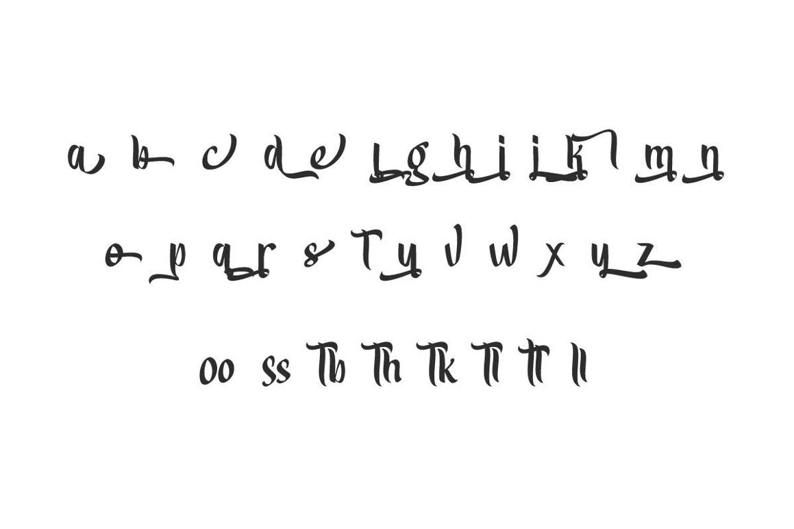 Expect Nothing Calligraphy Font - Image 5