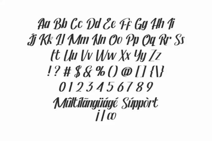 Hermilo Lettering Hermando Handwriting Font by VinType Studio