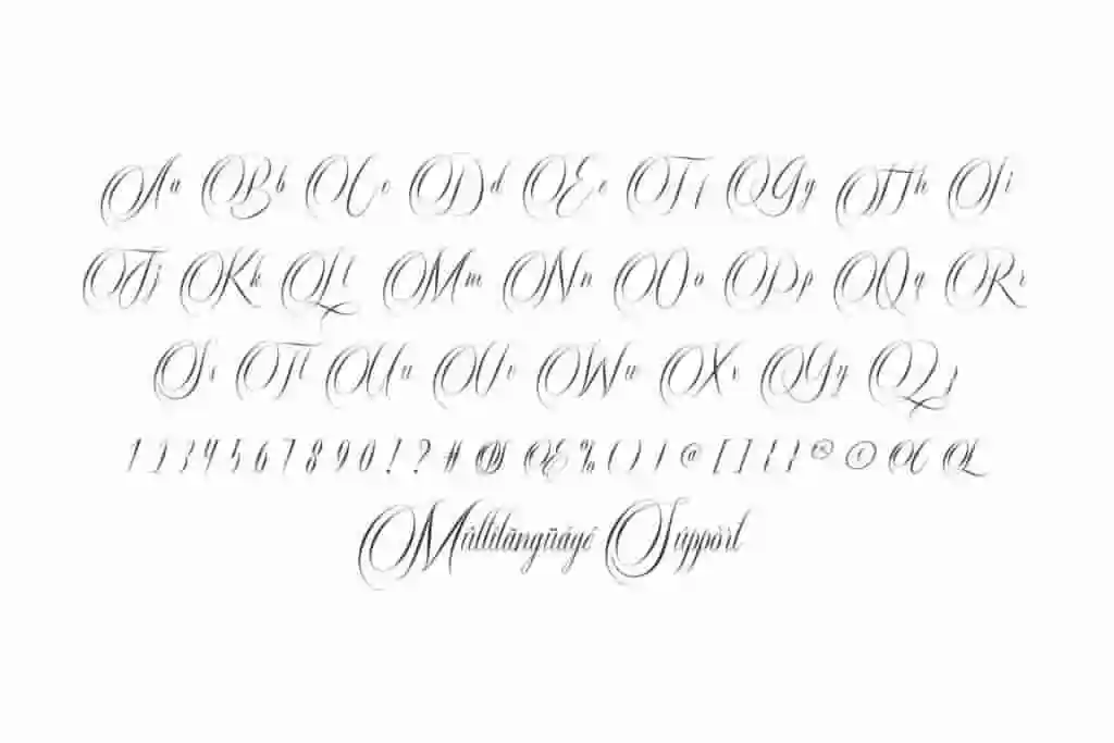 Fredelina Calligraphy Font - Image 4
