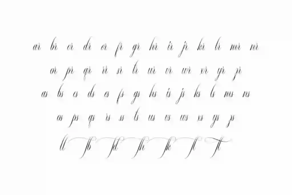 Fredelina Calligraphy Font - Image 6