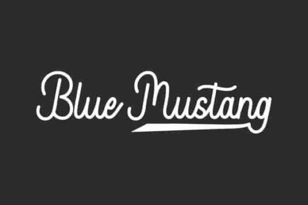 cover Blue Mustang