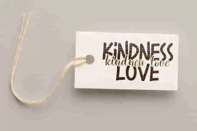 Kindness Love Font Duo - Image 4