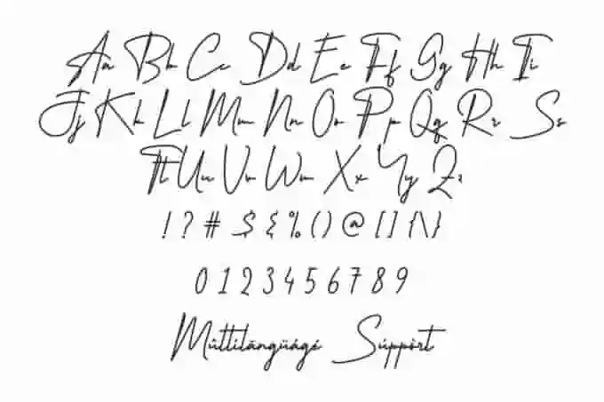 Regio Emilia Handwriting Font - Image 3