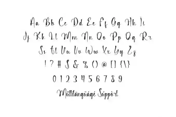 Makeup Looks – Elegant Font - Image 3