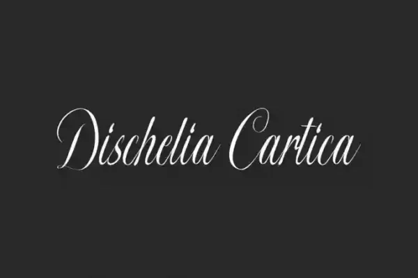 Dischelia Cartica Font