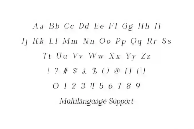 Platinum Ivory Sans & Serif Font - Image 7