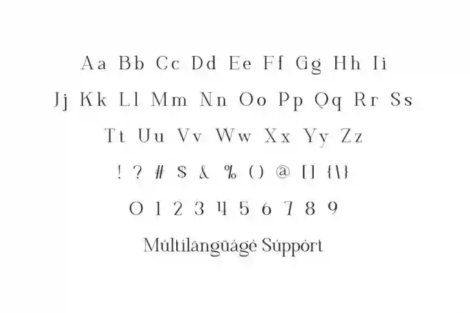 Platinum Ivory Sans & Serif Font - Image 10