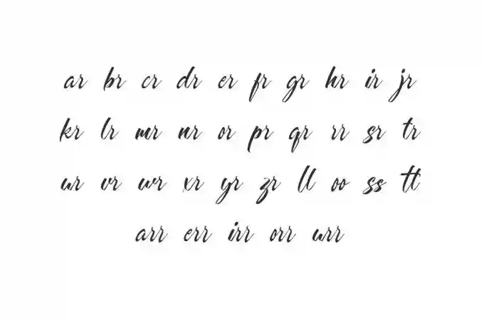 Fashioned Roses Calligraphy Font - Image 7