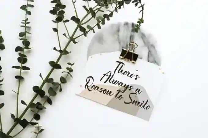 Safer Border Calligraphy Font - Image 8