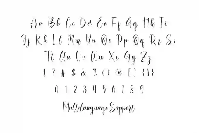Outhandle Calligraphy Font - Image 3