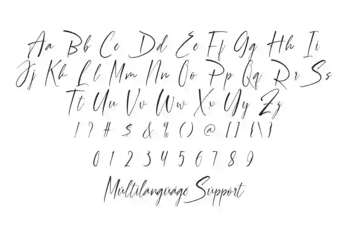 Roberto Jane Signature Font - Image 3