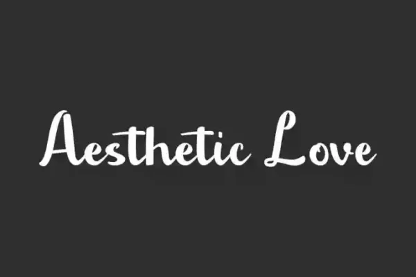 Aesthetic Love –  Calligraphy Font