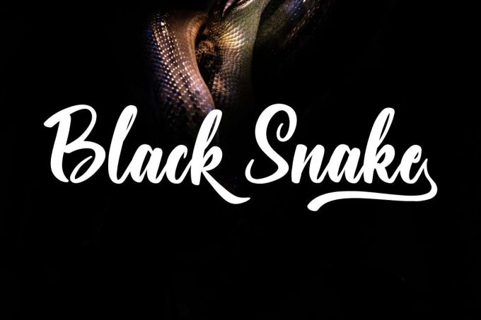 Black Snake Font - Image 12