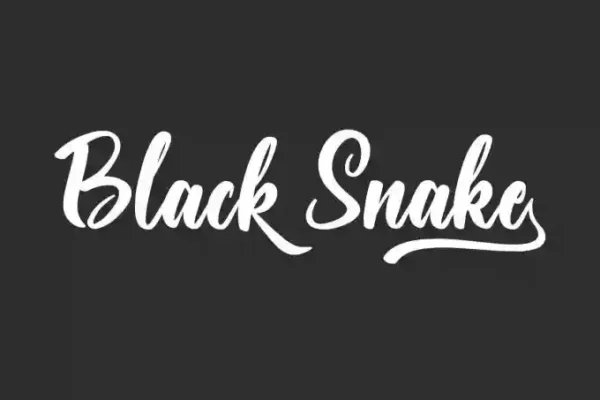 Black Snake – A Bold Font