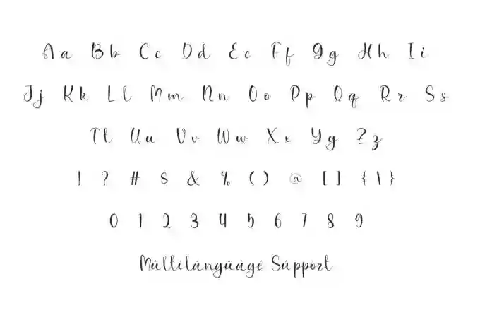 Serandani Calligraphy Font - Image 3