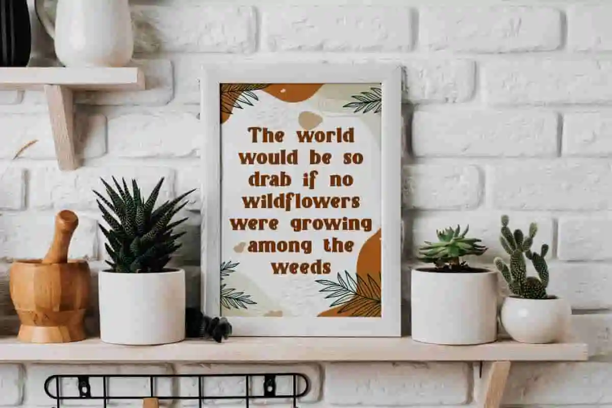 Wonderful Diary