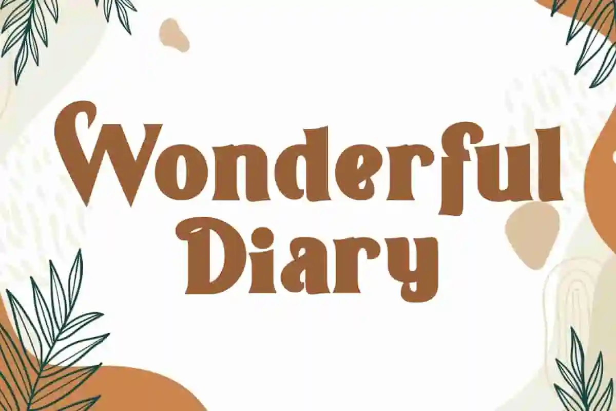 Wonderful Diary