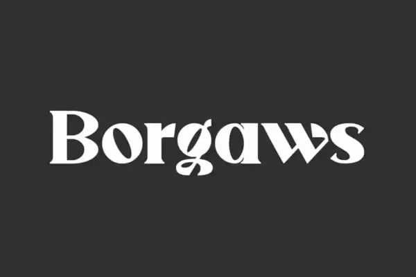 Borgaws