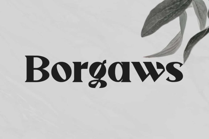 Borgaws Font - Image 9