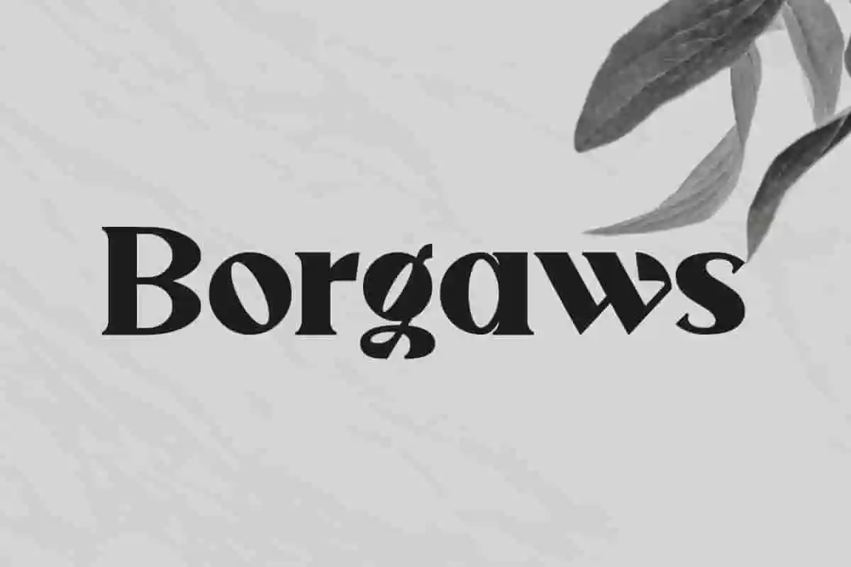 Borgaws
