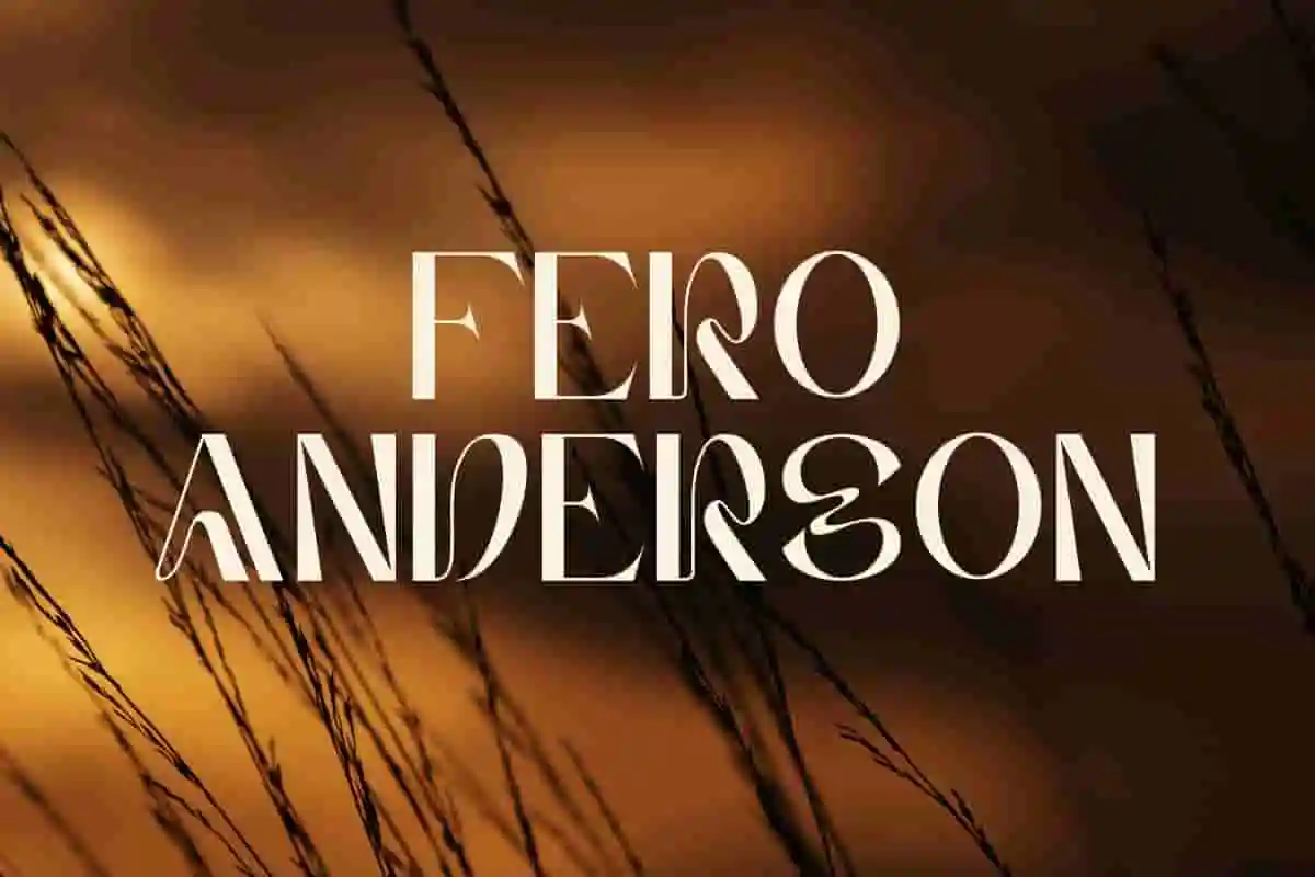 Fero Anderson Sans Serif Font - Image 9