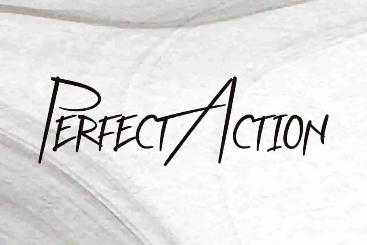 Perfect Action